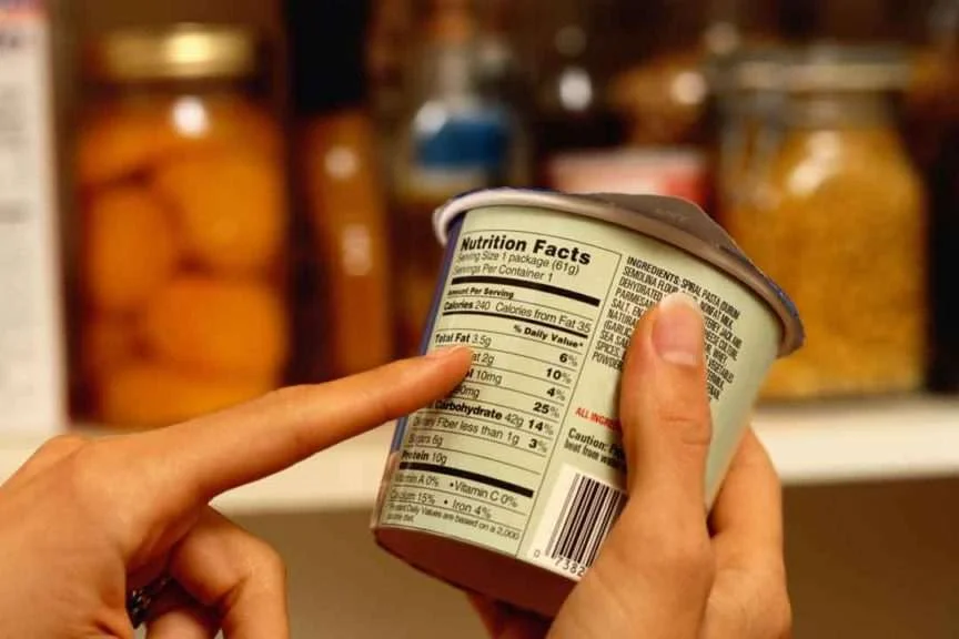 memilih makanan kucing terbaik