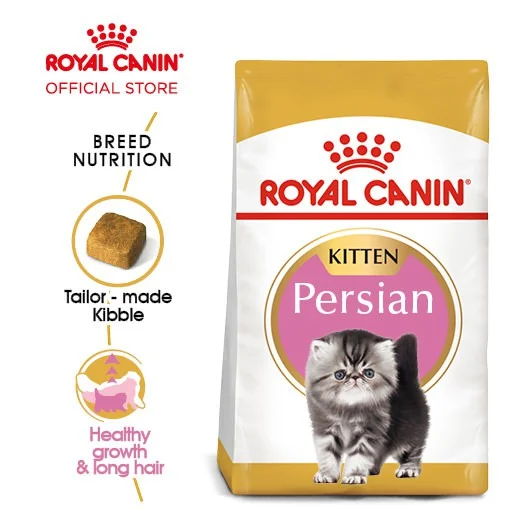 Royal Canin Kitten Persian cara agar kucing mau minum