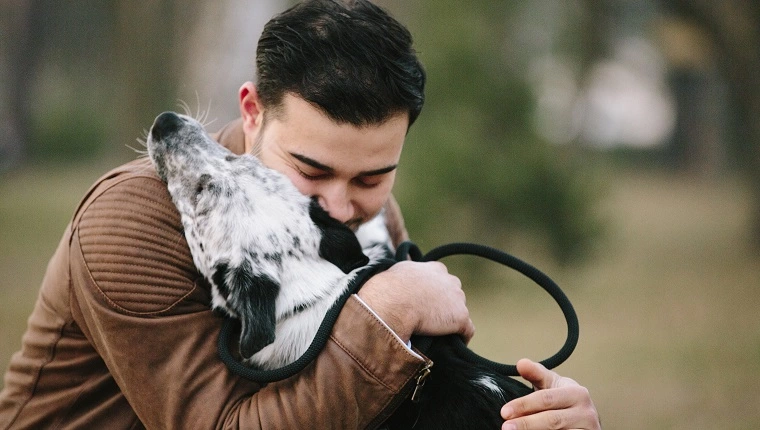 Bermain bersama Anjing